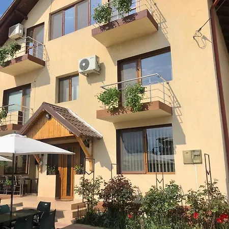 Pensiunea Casa Firu بيت ضيافة كوستِنيست