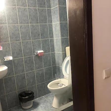 بيت ضيافة Pensiunea Casa Firu 3*