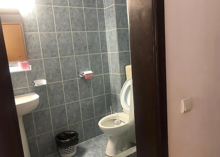 Гостевой дом Pensiunea Casa Firu 3*