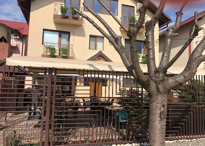 Pensiunea Casa Firu 3* Костинешти