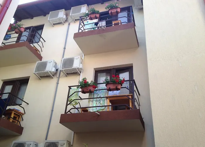 Pensiunea Casa Firu 3* Костинешти